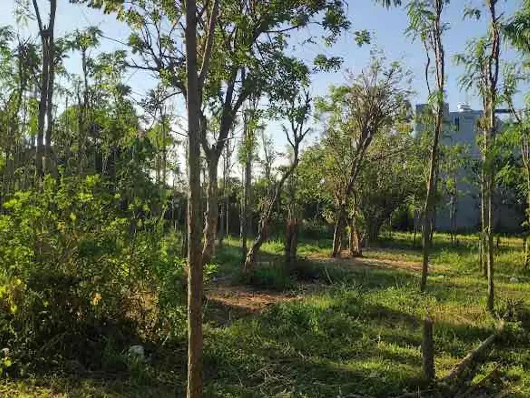 Dijual tanah kavling berlokasi di Jimbaran Bawah - Image 6 of 10