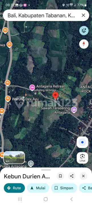 Dijual Tanah Kebun Durian di Tabanan, Bali - Image 2 of 4