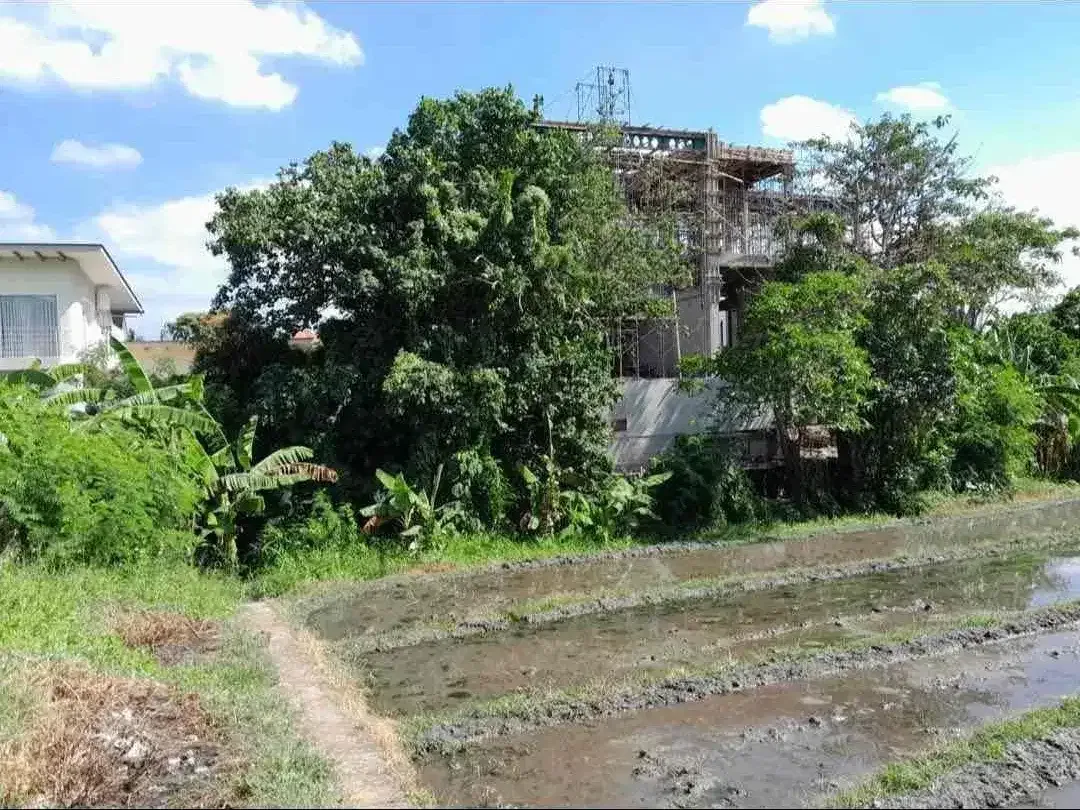 tanah sewa bagus untuk villa pribadi lokasi Seseh Munggu dengan view sawah - Image 4 of 5