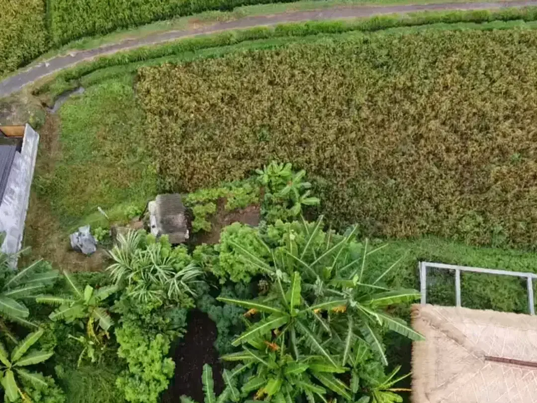 Leasehold - Exclusive Land in Yeh Gangga, Tabanan, Bali - Close to the Beach - Image 3 of 9