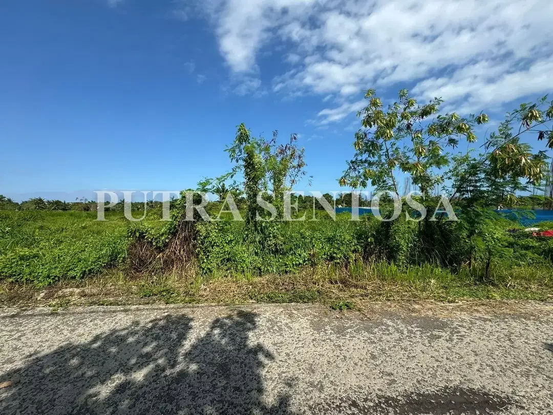 TANAH PREMIUM KEDUNGU VIEW SAWAH DEKAT KE PANTAI - Image 4 of 7