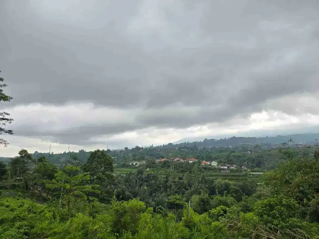 kebun dengan view gunung dan sawah penuh panorama - Image 8 of 9