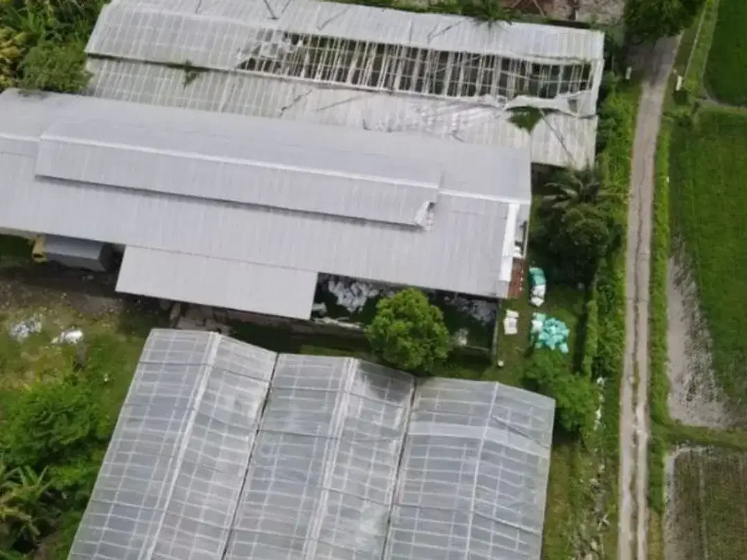 GUDANG GREEN HOUSE DI NEGARA JEMBRANA - Image 2 of 10