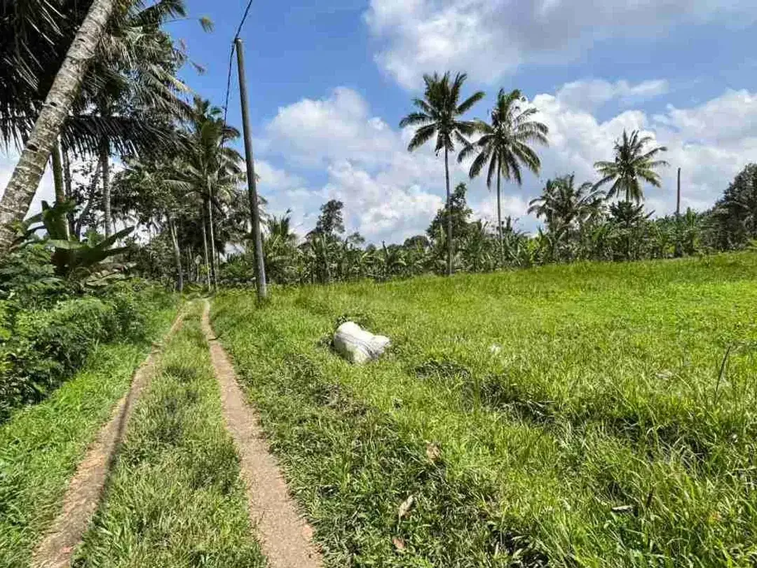 jual tanah flat datar di tabanan bali. - Image 6 of 10