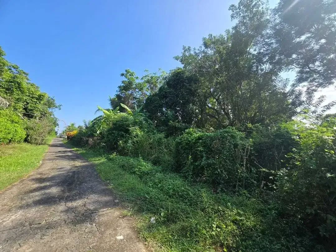 Dijual tanah murah los sungai bebatuan   di bali - Image 4 of 9