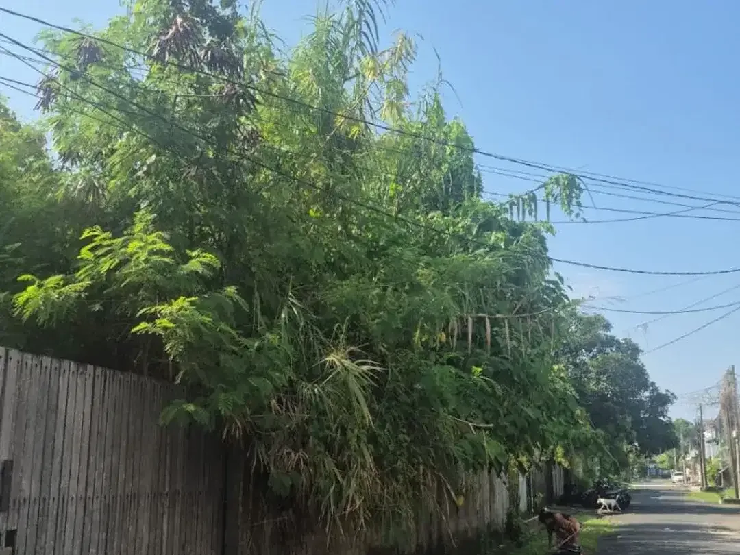 Land for sale at Jalan Dewi Saraswati, strategic location - Image 2 of 3