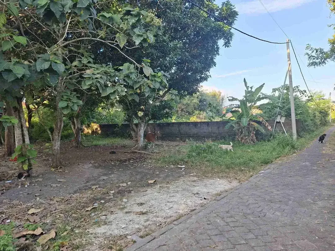 DIJUAL CEPAT TANAH LINGKUNGAN VILLA DI TOYANING UNGASAN - Image 3 of 4