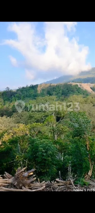 Tanah Kebun 1000MÂ² Sudah Diaspek View Bagus Gitgit Buleleng Bali - Image 3 of 4