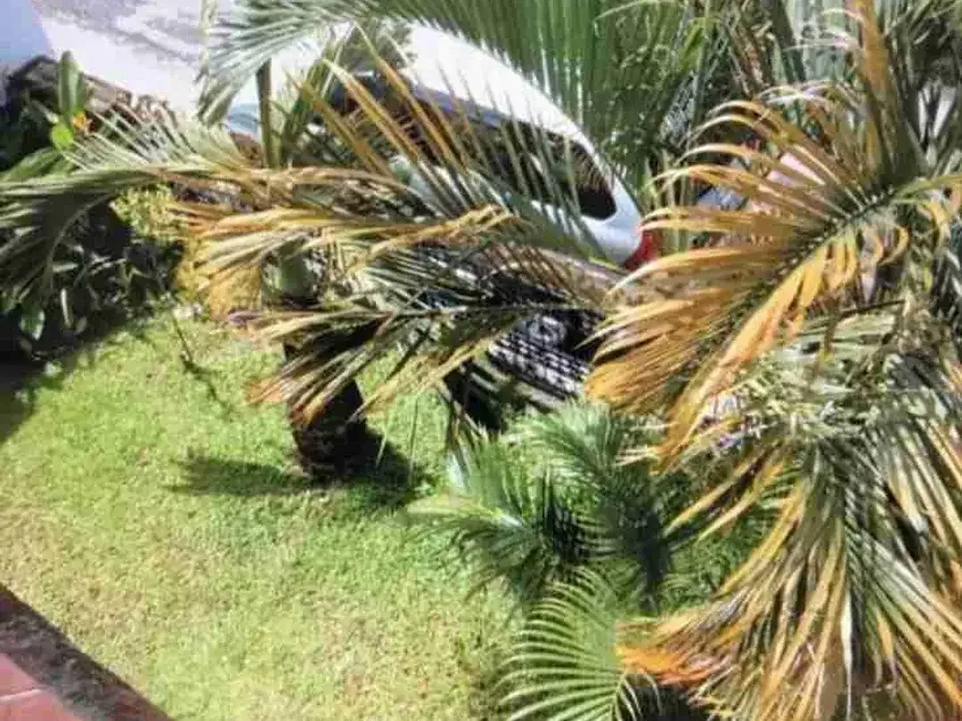 Di jual rumah lantai II di perumahan Wisma Nusa Permai Benoa kampial Kuta Selatan Badung Bali - Image 3 of 10