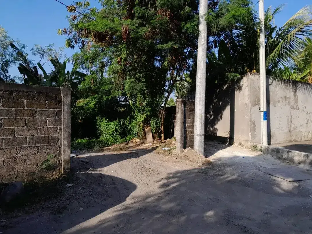 Dijual Tanah Siap Bangun Dekat Canggu dengan View Sawah, Hadap Selatan, dan Lingkungan Villa - Image 2 of 10