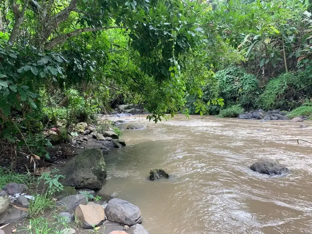 TANAH LOS SUNGAI COCOK UNTUK VILLA LOKASI BUWIT TABANAN - Image 8 of 10