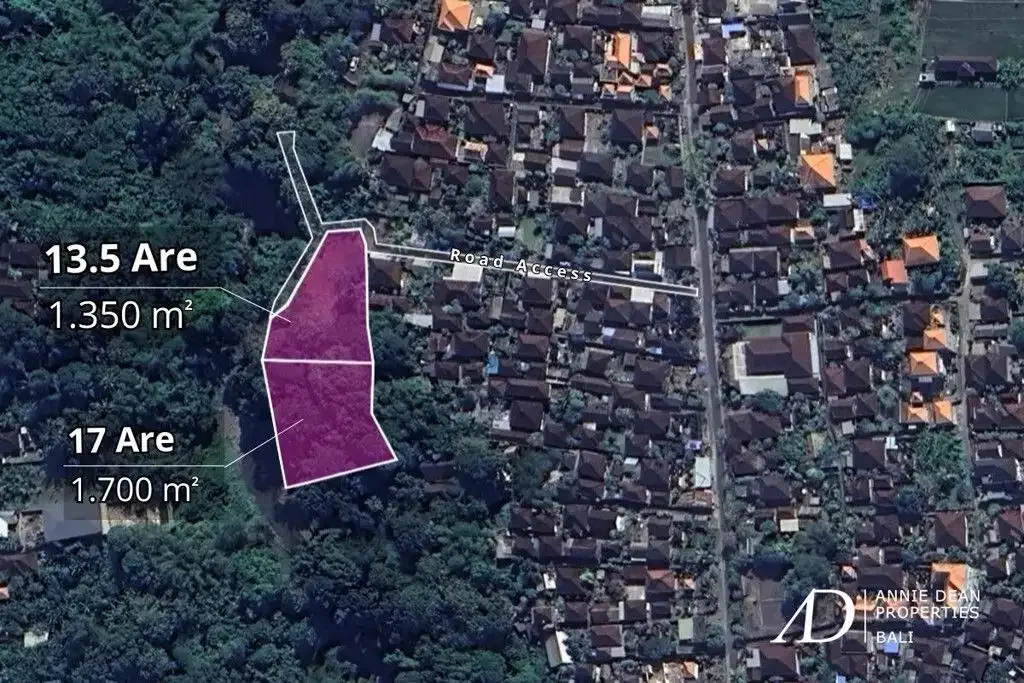 FREEHOLD RIVERFRONT LAND WITH JUNGLE VIEWS - PRIME INVESTMENT IN CEPAKA - Image 4 of 5