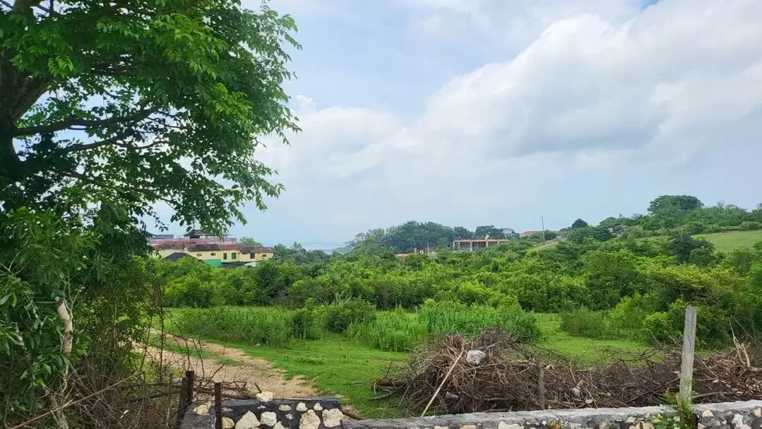 Freehold land in goa gong 450 M2 for sale - Image 6 of 10