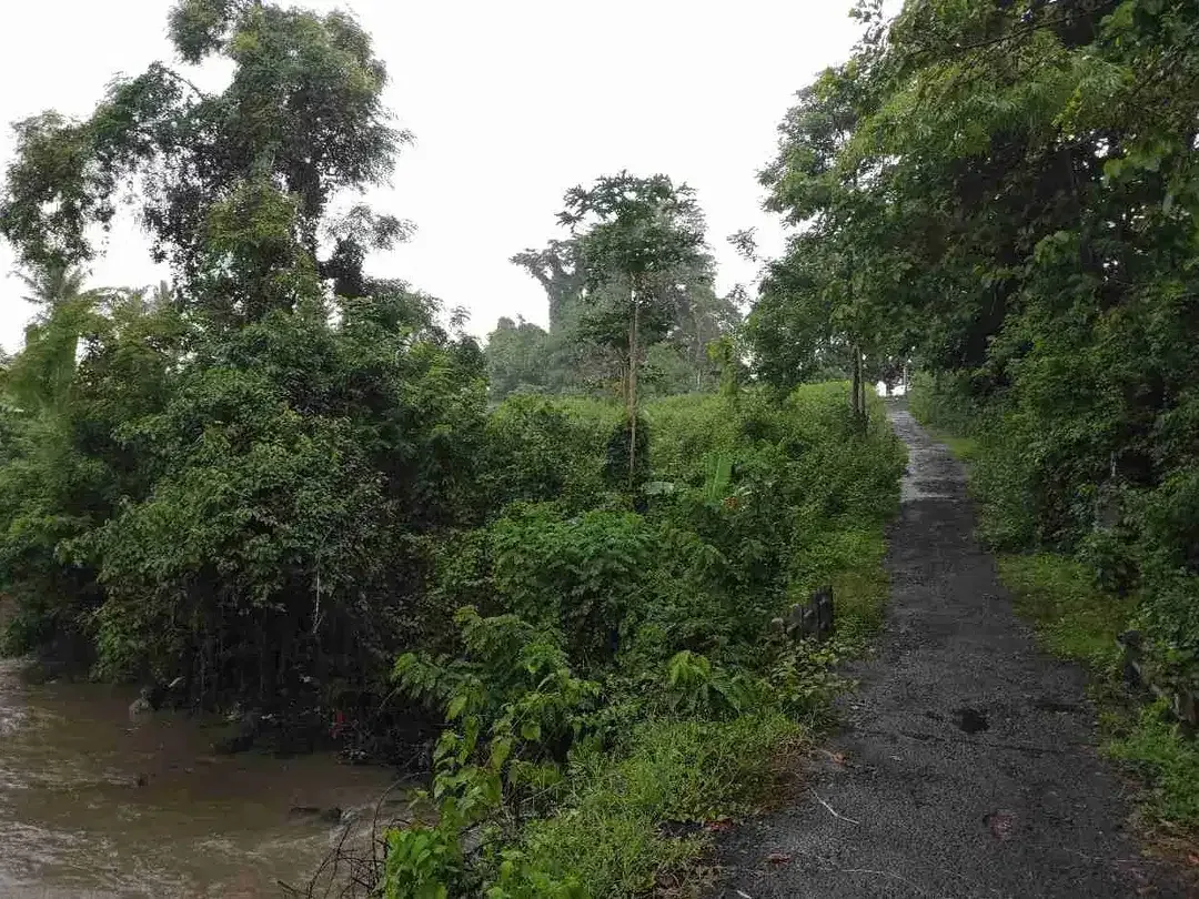 Tanah Strategis Luas Lingkungan Asri di Antap Tabanan - Image 3 of 8