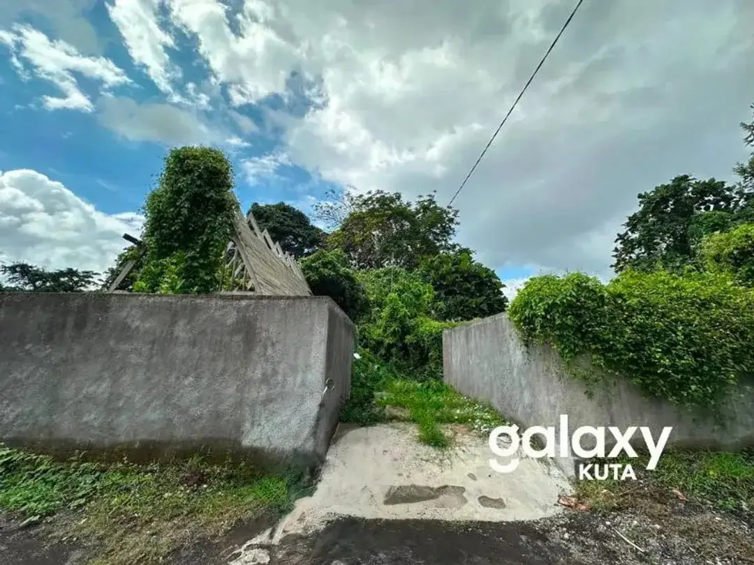 DIJUAL TANAH JUNGLE VIEW DEKAT RS SANJIWANI DI BITERA GIANYAR - Image 10 of 10