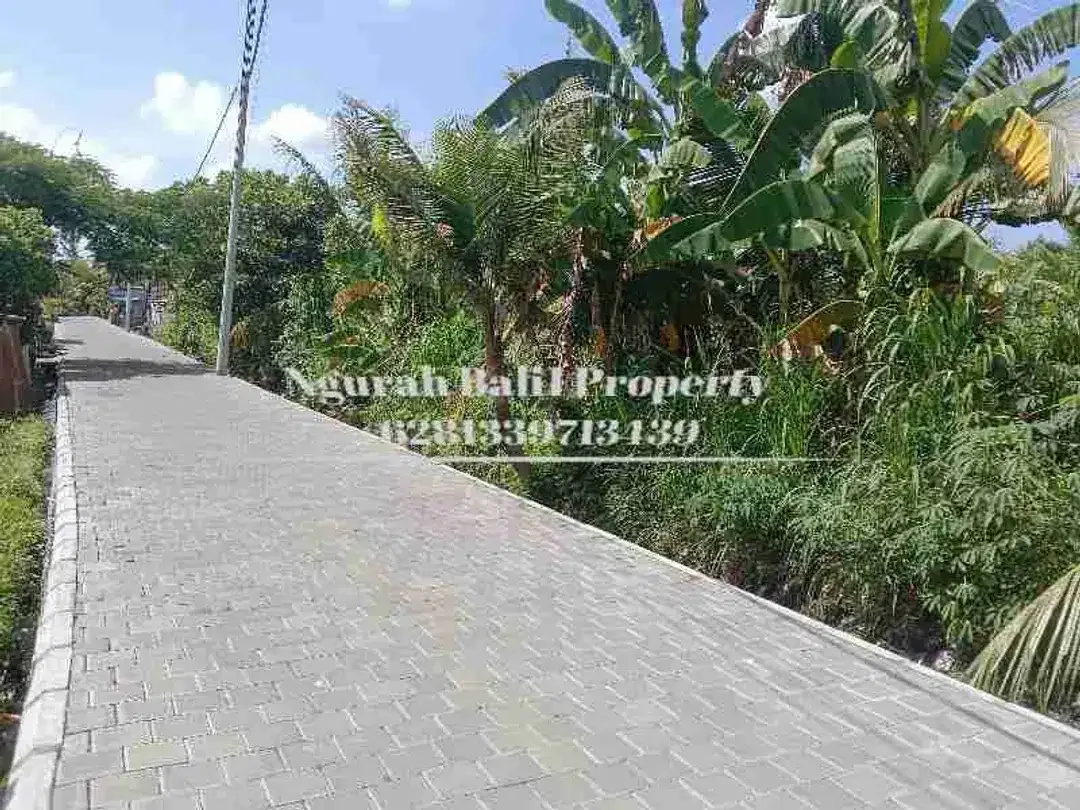 Land For Rent 4,5 Are Kawasan Villa Berlokasi di Ubud Selatan - Image 1 of 4