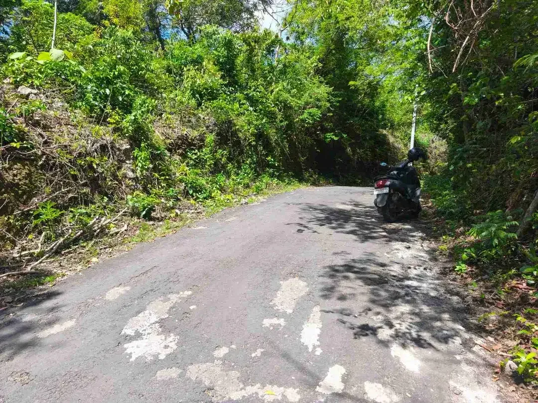 disewakan tanah 39.140m² /3,91 HEKTAR ocean view dekat Nirmala Pecatu Kuta Selatan Badung Bali - Image 2 of 10