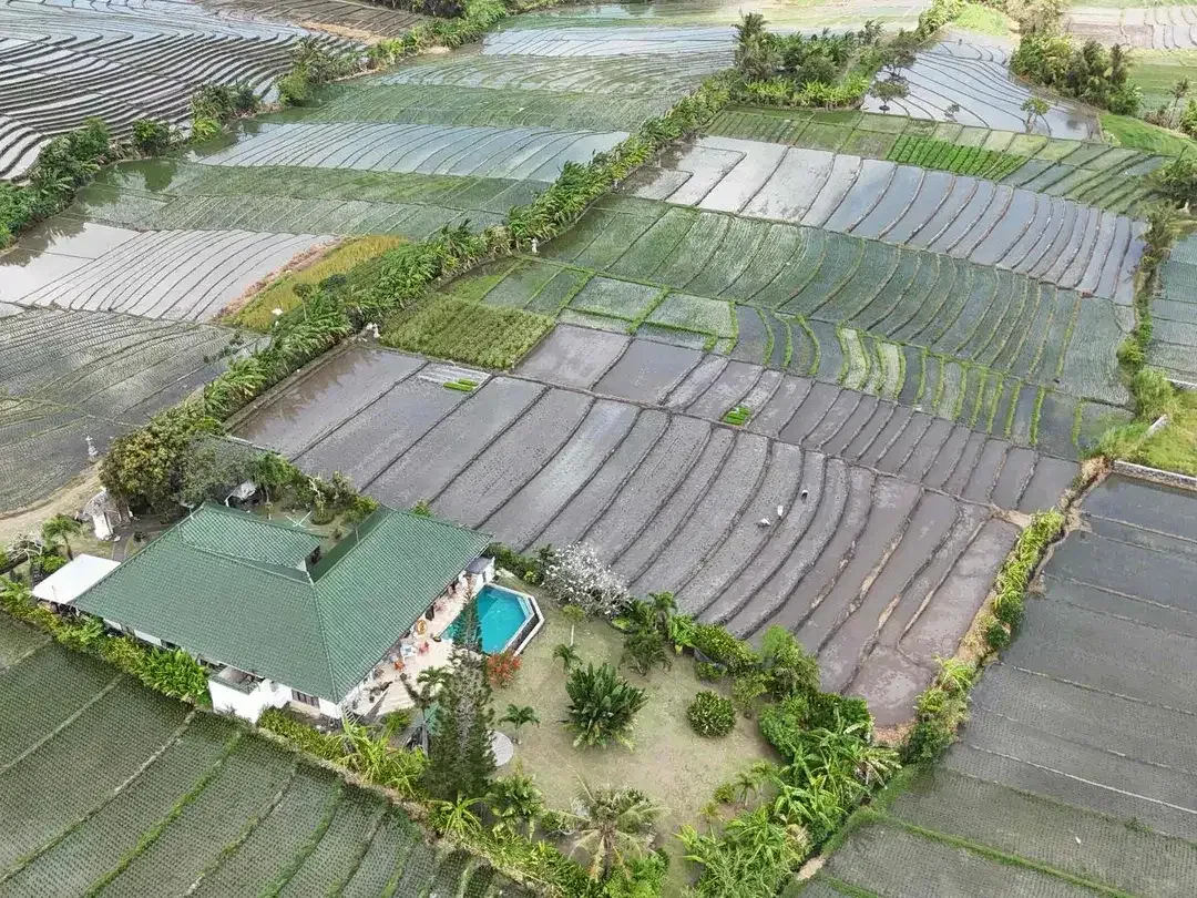 Dijual Tanah Pariwisata SHM 37 Are View Sawah dan Pantai Pasut Bali - Image 6 of 10