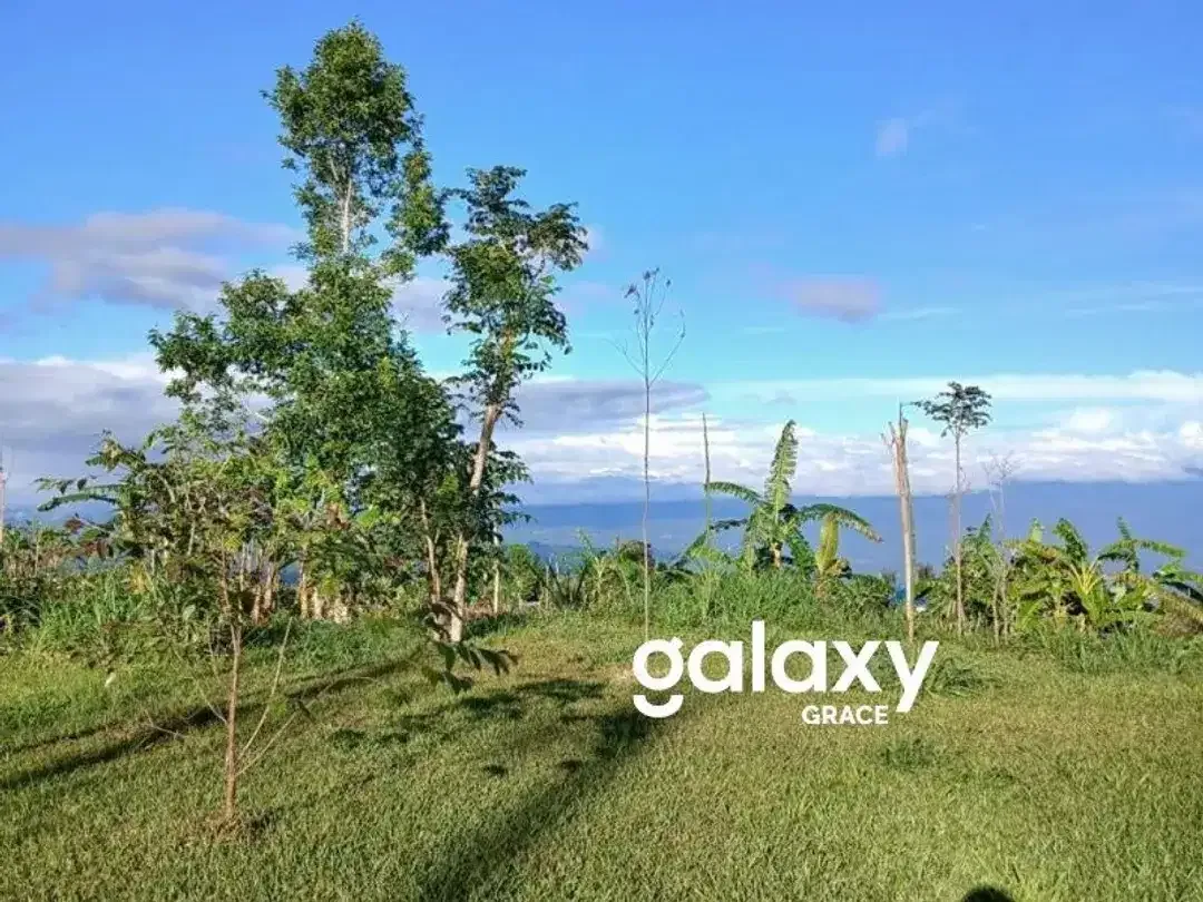 LAND FOR SALEDANAU TAMBLINGAN – MUNDUK - Image 3 of 10