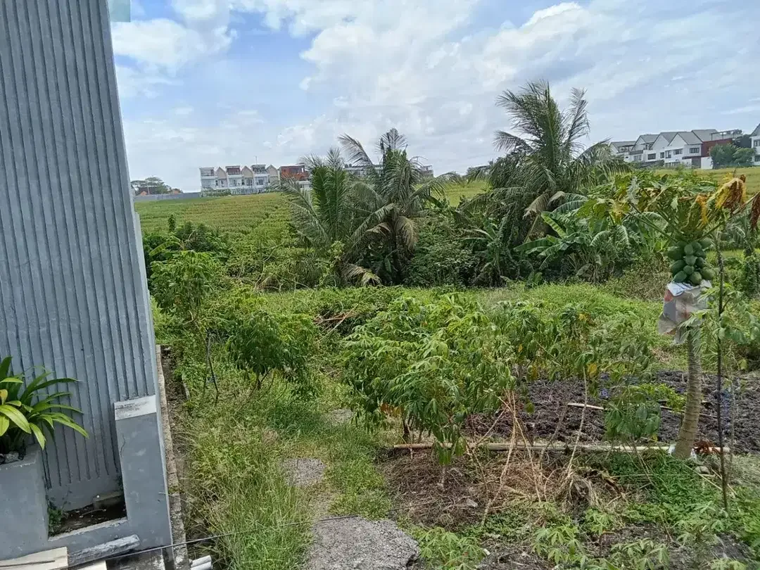 DIJUAL / FREEHOLD : Tanah Kosong View Paddie, di Pantai Cemagi, Bali - Image 6 of 6