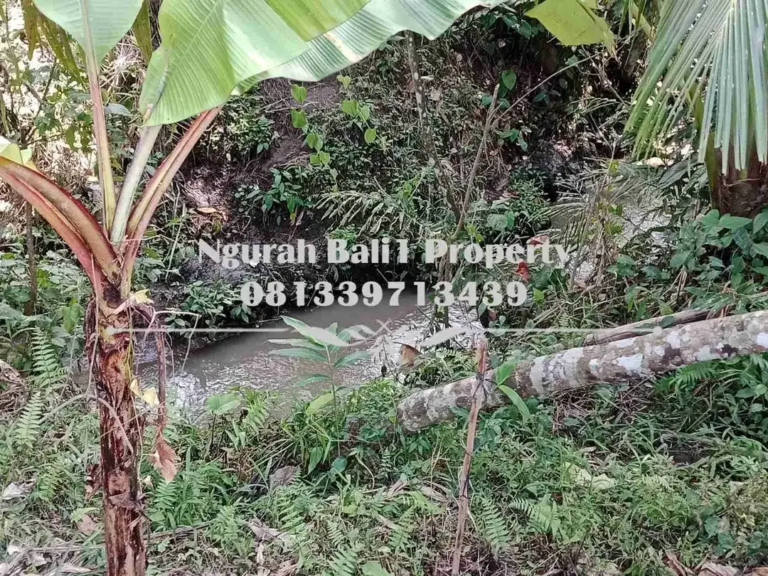 Dijual Tanah Murah Luas 645 m2 View Sawah dan Sungai di Ubud Pejeng - Image 2 of 7