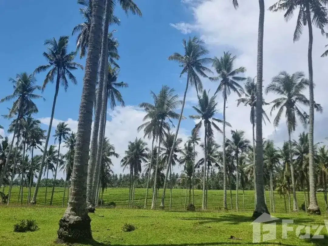 Land for sale in Selemadeg, Bali - Image 8 of 10