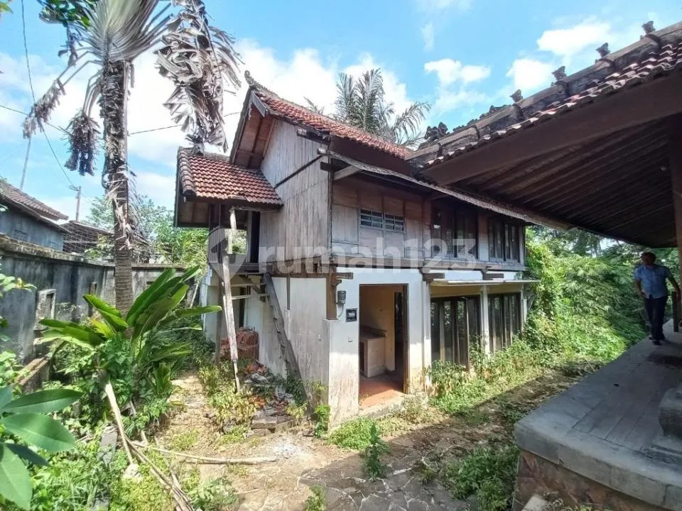 Dijual Rumah Seharga 2,9 M - Denpasar Timur! - Image 4 of 4
