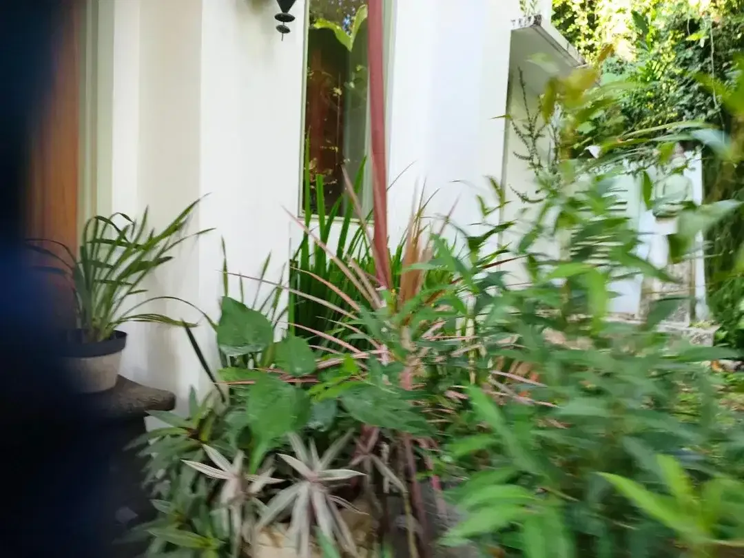 DIJUAL RUMAH BESAR DENGAN KOLAM RENANG – BIAUNG, KETEWEL - Image 5 of 10