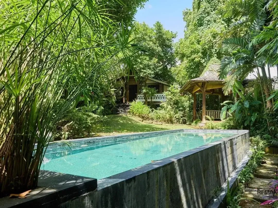 Tanah bonus villa Dijual lokasi Premium Zona Campuran di Canggu - Image 1 of 6
