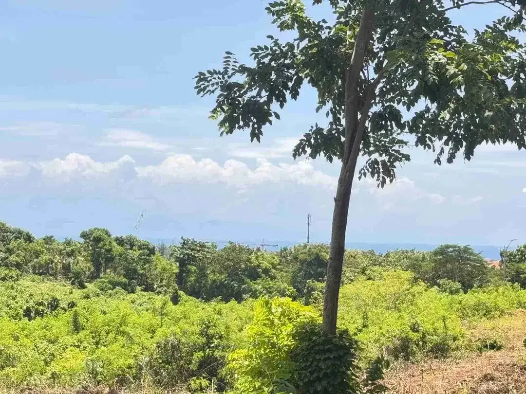 Lahan premium zona pariwisata jalan Utama nusa Dua cocok untuk investasi resort apartemen atau villa komplek - Image 2 of 9