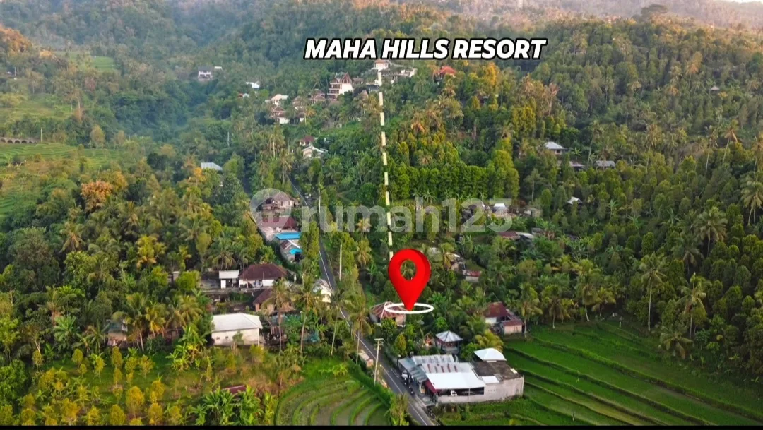 Tanah Eksklusif View Alam di Sambangan Buleleng Bali Utara Zona Kuning Dikelilingin Villa dan Hotel Harga Masih 800 Jutaan! - Image 1 of 4