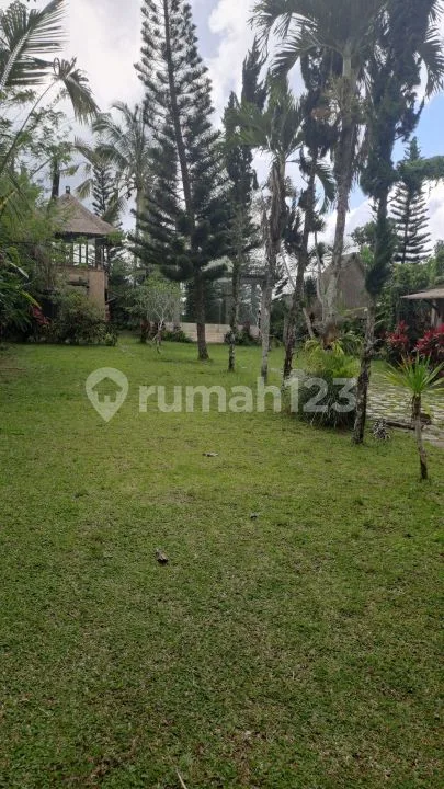 Jual Tanah Dekat Ubud + Bangunan - Image 2 of 4