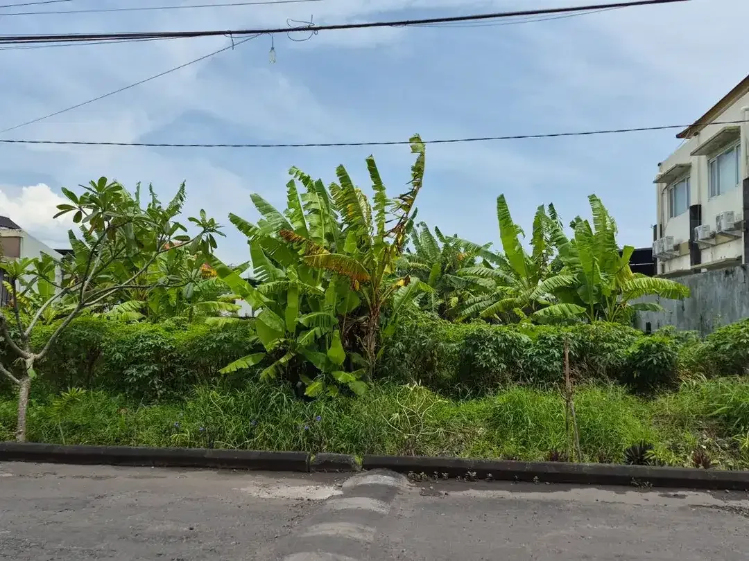 Tanah 4,6 are di Badak Agung Renon Dekat Drupadi Jayagiri Regent School - Image 1 of 7