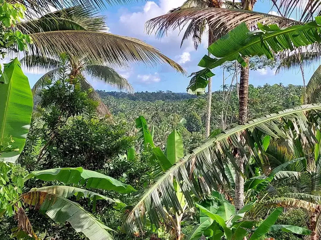 5.850 Sqm of Freehold Land for Sale with Beautiful Mountain View - Image 3 of 10