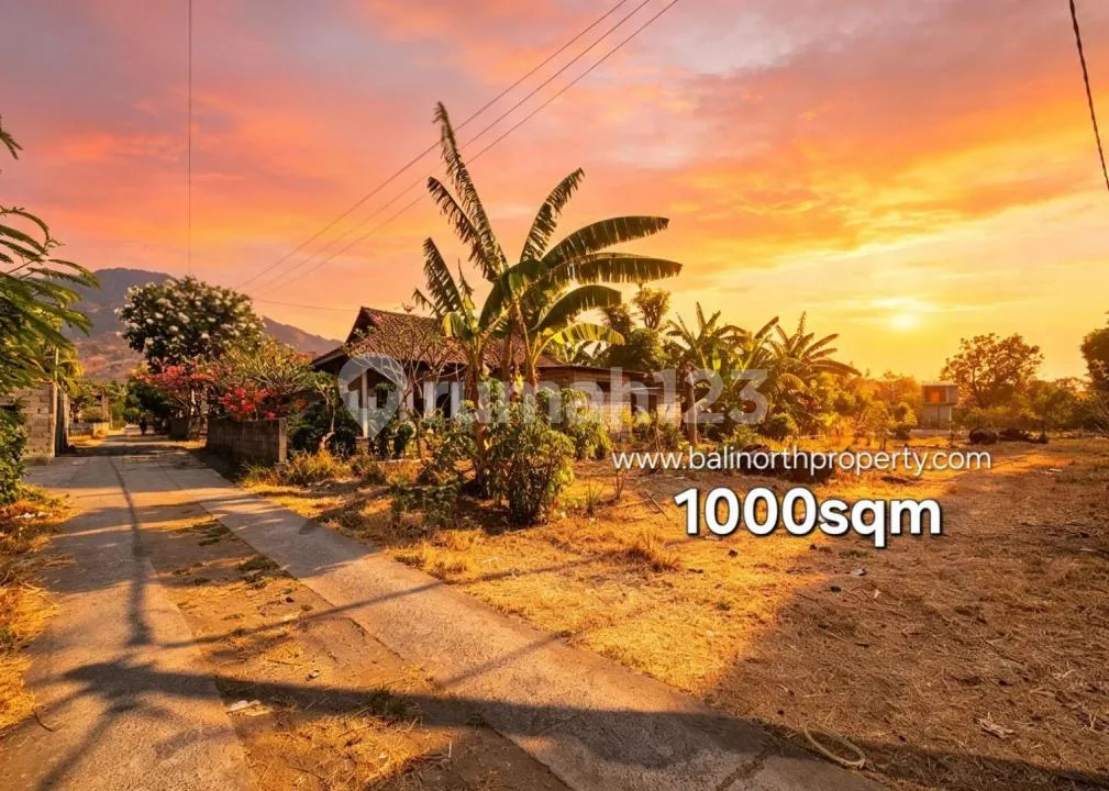 Premium Land For Sale In Pemuteran North Bali - Image 3 of 4