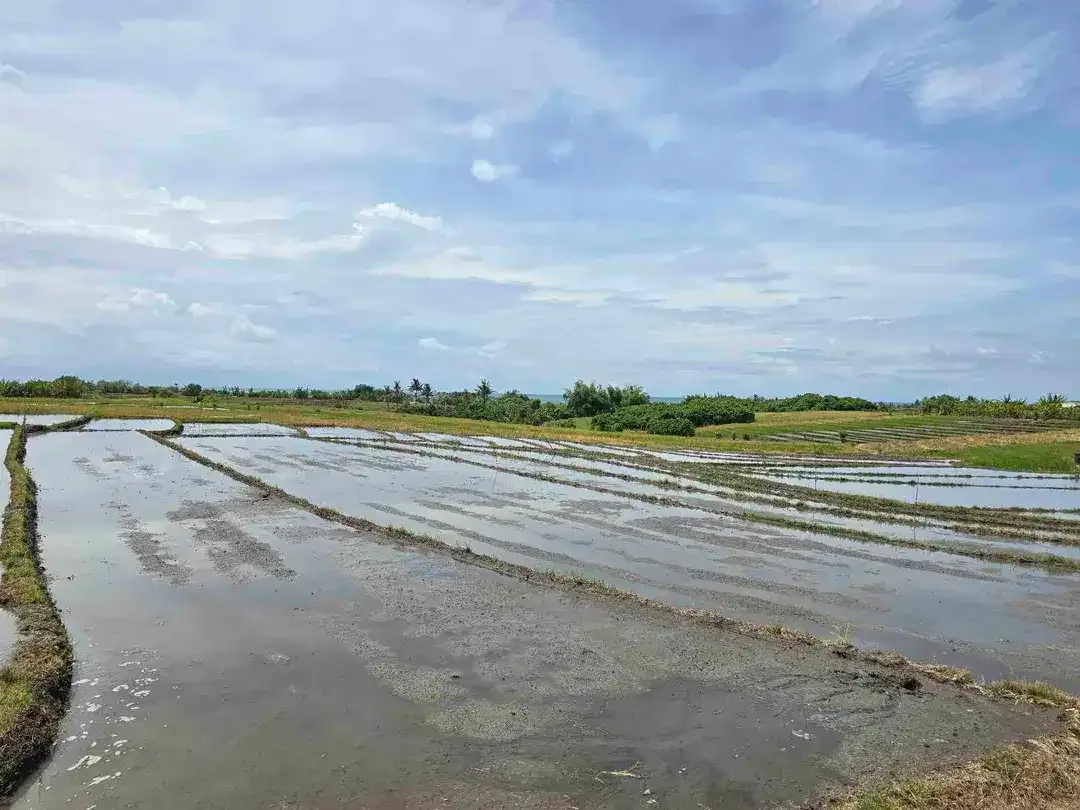 Dijual tanah view laut dekat pantai pasut di tabanan bali - Image 8 of 10