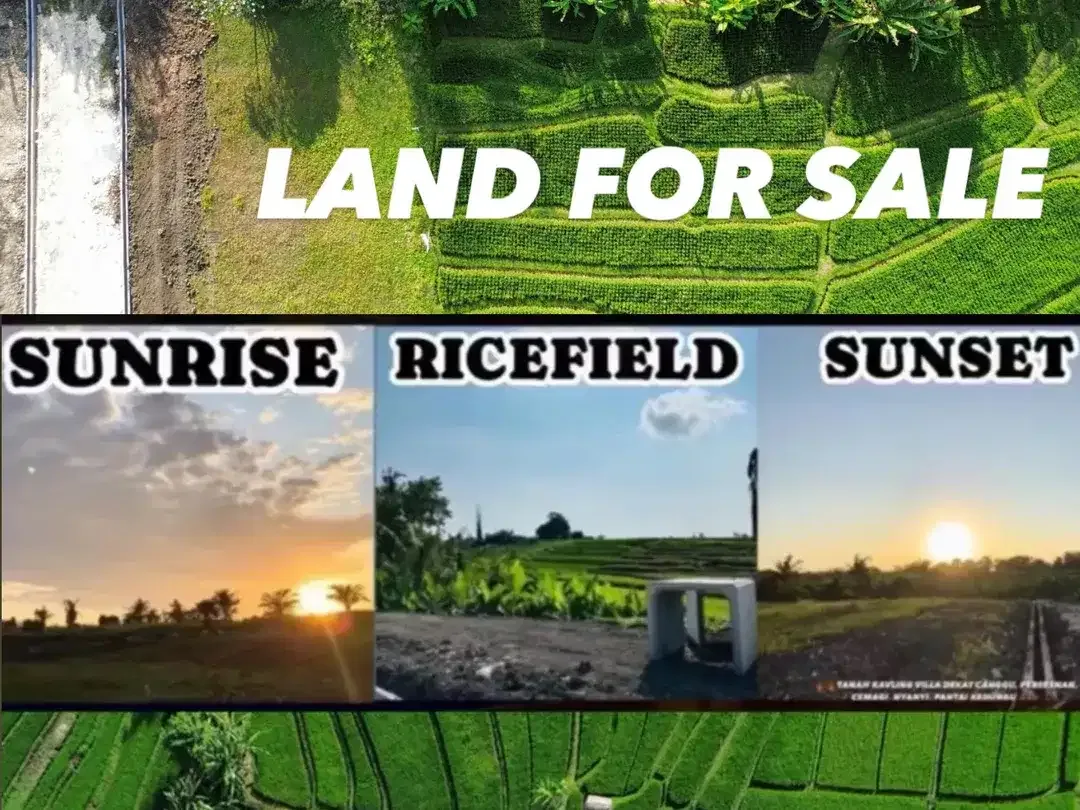 10 Menitan Canggu Tanah Dijual View Sawah, Sunset, Sunrice, Mountain - Image 2 of 10