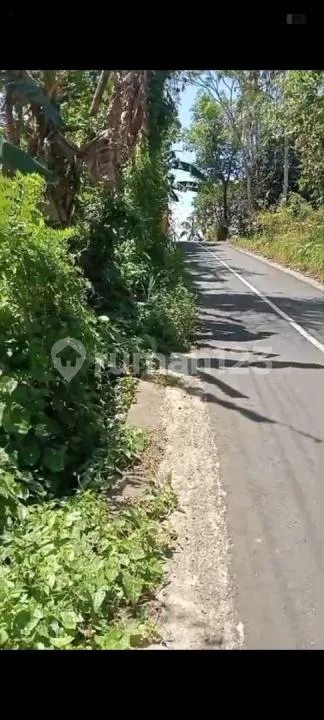 Jual Tanah Kebun Murah di Pinggir Jalan Aspal di Tabanan - Image 1 of 4