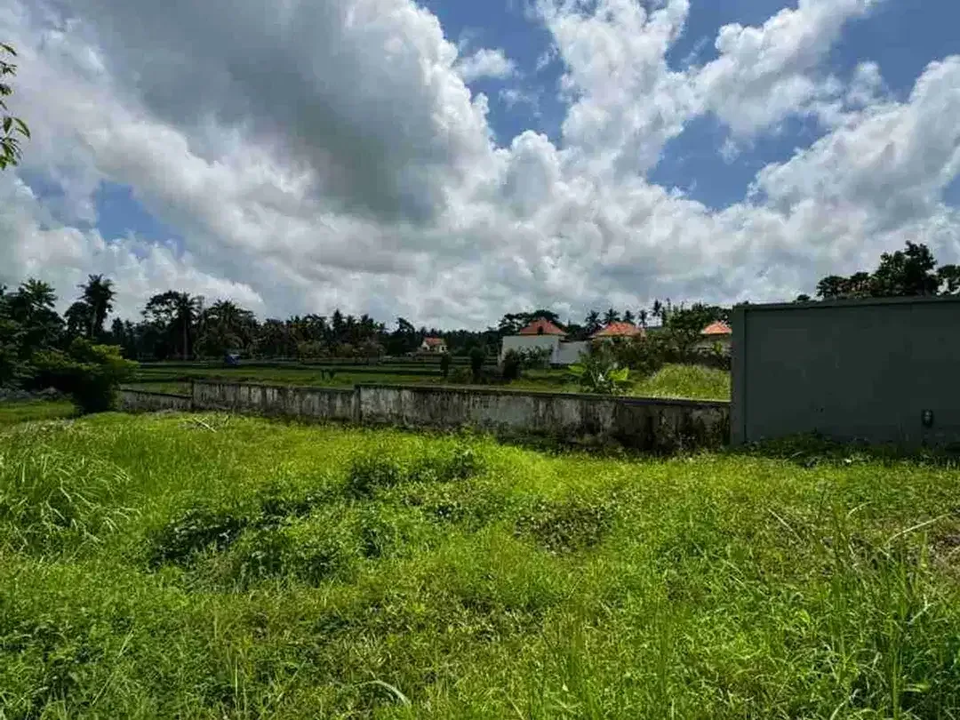 Tanah View Sawah Abadi Bonus Rumah Style Vila di Ubud - Image 9 of 10
