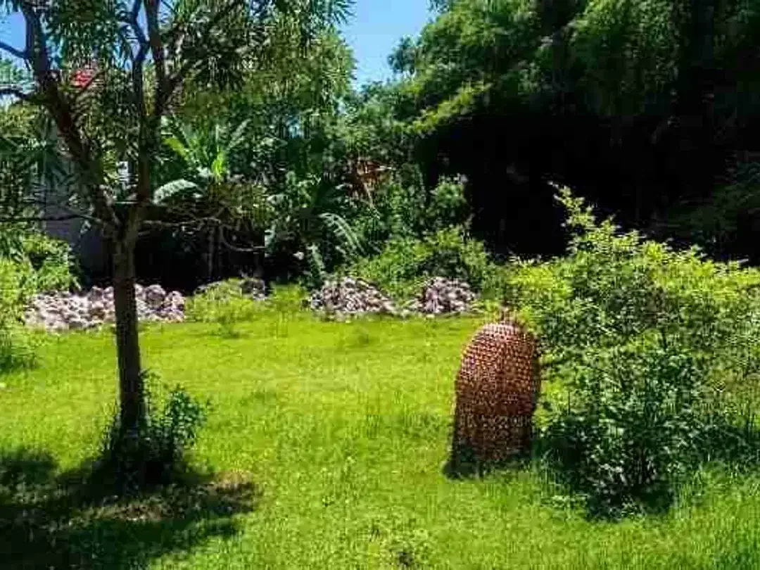 Dijual tanah lalu jln mundeh kutuh - Bali - Image 6 of 6