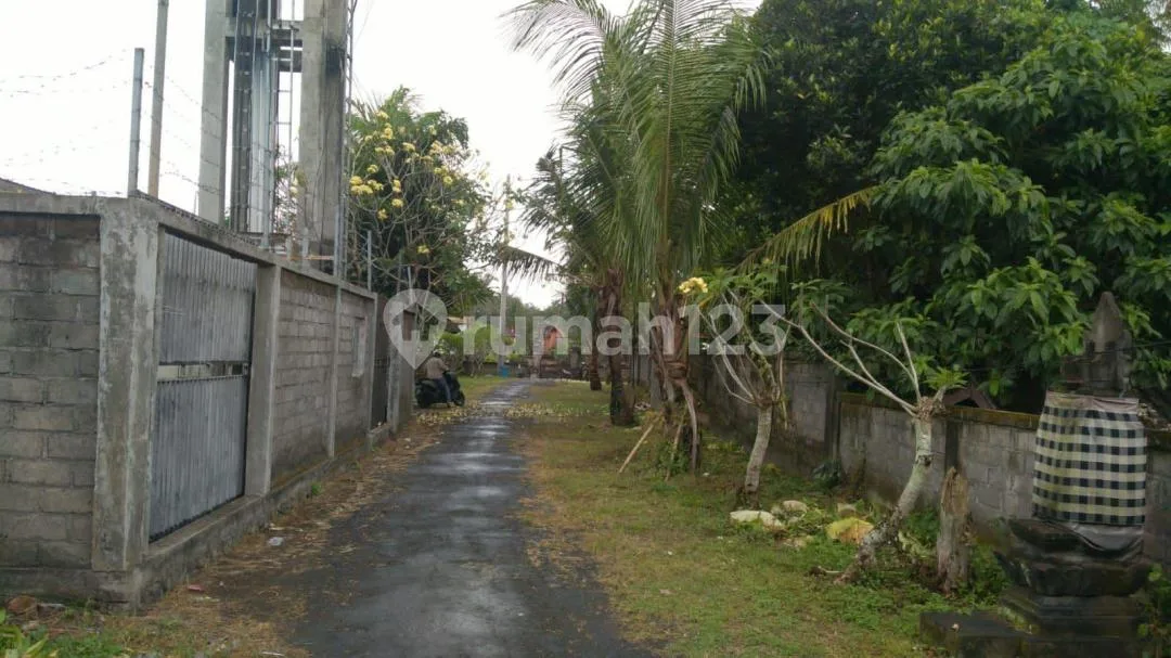 Tanah Murah Kmenuh Selatan Ubud Siap Bangun - Image 2 of 4