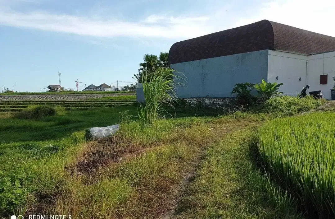 Tanah View Sawah Terasering Dekat Pantai Berawa Canggu - Image 9 of 10
