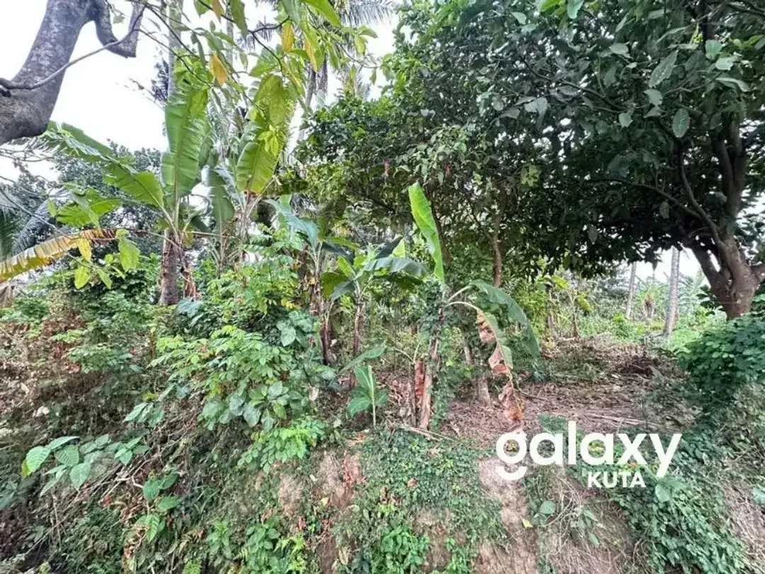 DIJUAL TANAH VIEW SAWAH DEKAT RS KASIH IBU DI TOJAN BLAHBATUH - Image 5 of 10