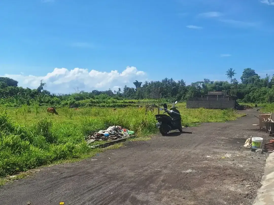TANAH KAVLING PERUMAHAN 540M2 TEGAL TUGU GIANYAR BALI - Image 5 of 6