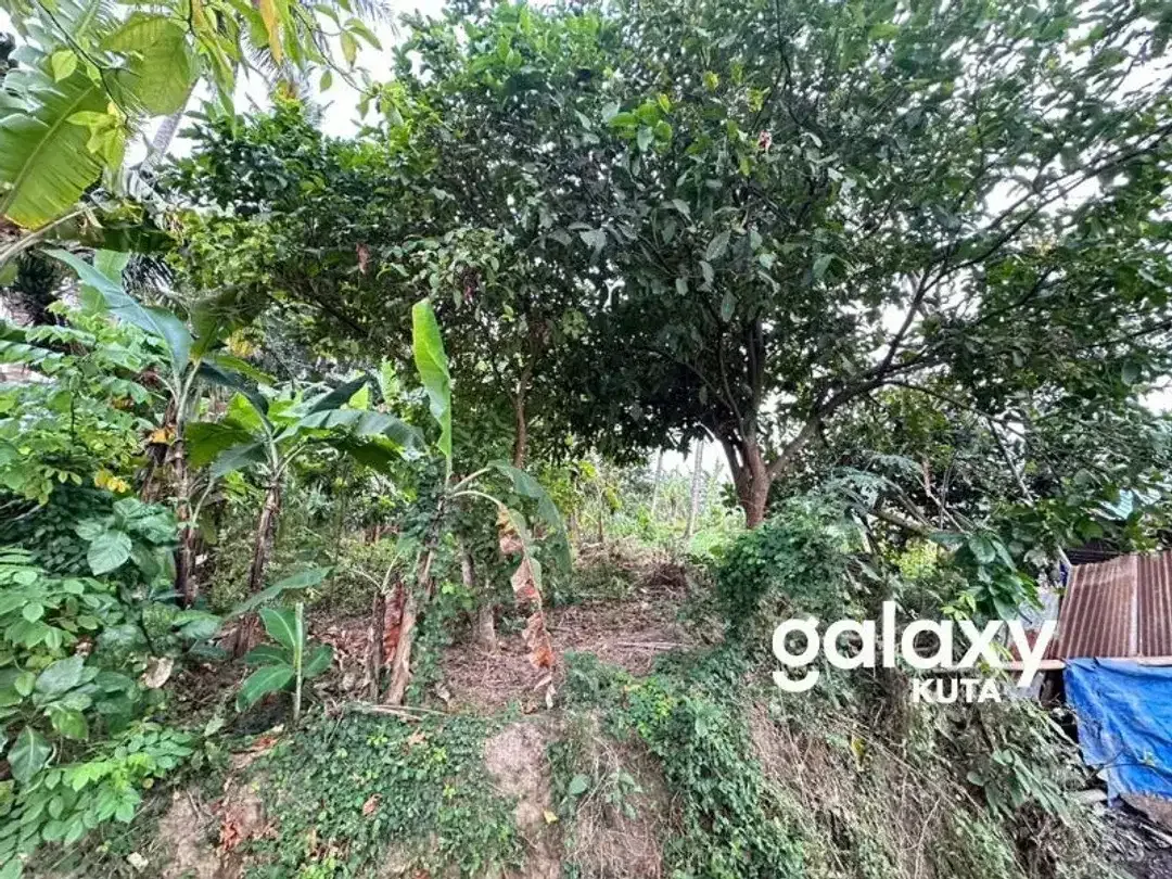 DIJUAL TANAH VIEW SAWAH DEKAT RS KASIH IBU DI TOJAN BLAHBATUH - Image 4 of 10