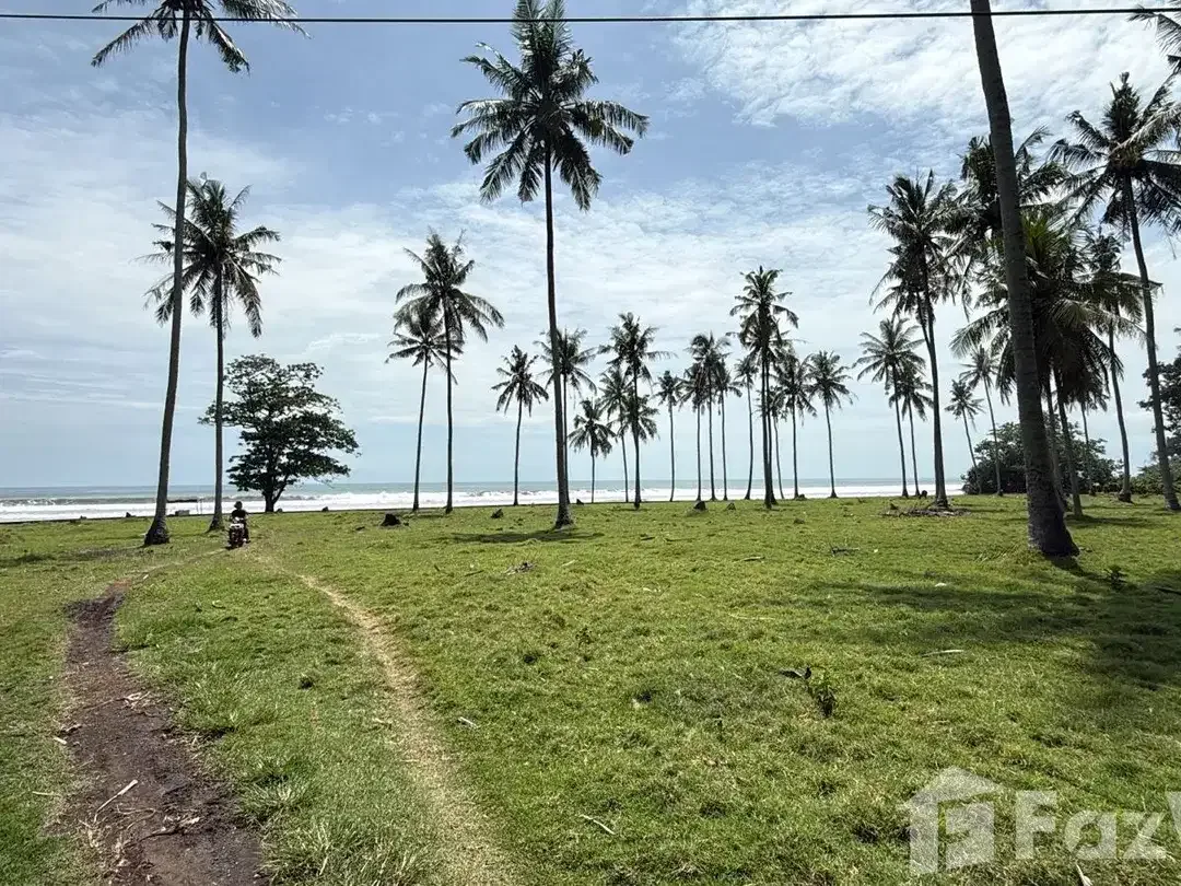 Land for sale in Balian, Bali - Image 5 of 10