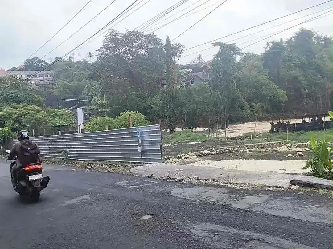 Dijual Tanah Di Jalan Utama Cekomaria Denpasar Utara - Image 2 of 6