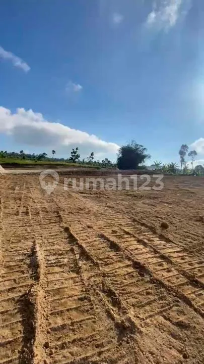 Tanah Zona Kuning Munduk Gobleg Bedugul #6846 - Image 2 of 4