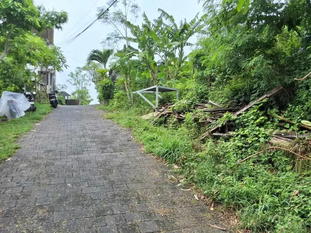 Sebidang tanah dengan luasan 12are berlokasi di kawasan Bali Kencana cocok untuk villa. - Image 1 of 6