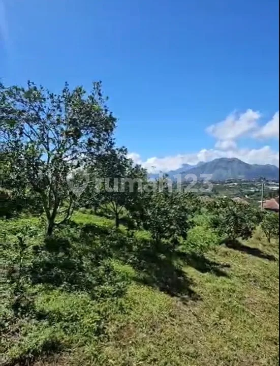 Tanah Murah View Gunung Batur Kintamani Bali - Image 3 of 4